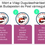 Miér- a-Világi-Duguláselhárítás